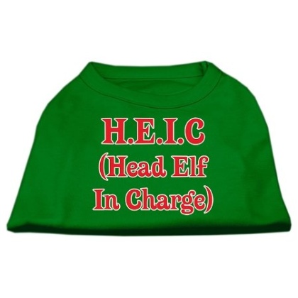 Head Elf in Charge Screen Print Shirt Emerald Green Lg