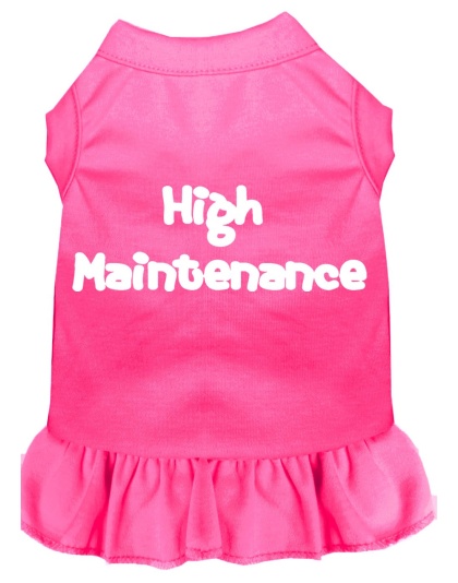 High Maintenance Screen Print Dress Bright Pink 4X (22)