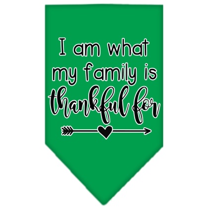 I Am What My Family is Thankful For Screen Print Bandana Emerald Green Large