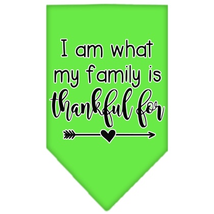 I Am What My Family is Thankful For Screen Print Bandana Lime Green Large