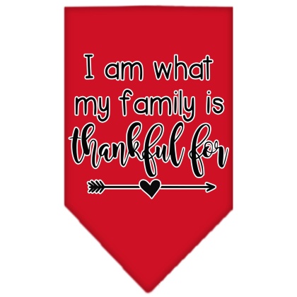 I Am What My Family is Thankful For Screen Print Bandana Red Large