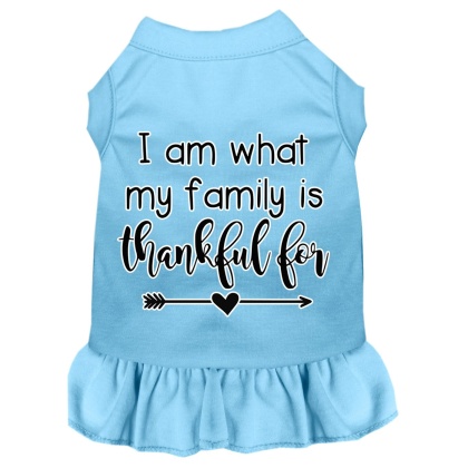 I Am What My Family is Thankful For Screen Print Dog Dress Baby Blue 4X