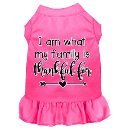 I Am What My Family is Thankful For Screen Print Dog Dress Bright Pink 4X