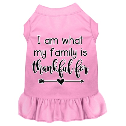 I Am What My Family is Thankful For Screen Print Dog Dress Light Pink 4X