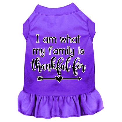 I Am What My Family is Thankful For Screen Print Dog Dress Purple 4X