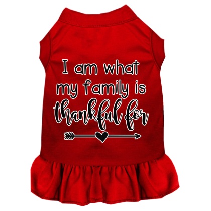 I Am What My Family is Thankful For Screen Print Dog Dress Red 4X