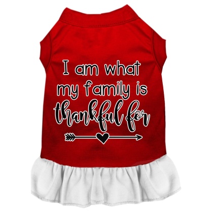 I Am What My Family is Thankful For Screen Print Dog Dress Red with White Lg