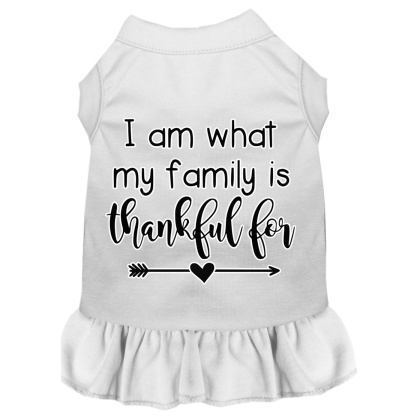 I Am What My Family is Thankful For Screen Print Dog Dress White 4X
