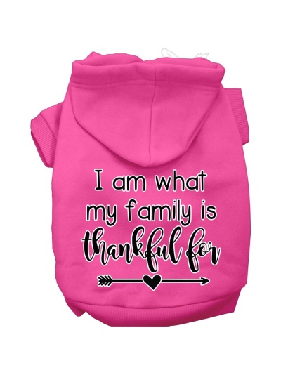 I Am What My Family is Thankful For Screen Print Dog Hoodie Bright Pink L