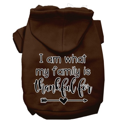 I Am What My Family is Thankful For Screen Print Dog Hoodie Brown L