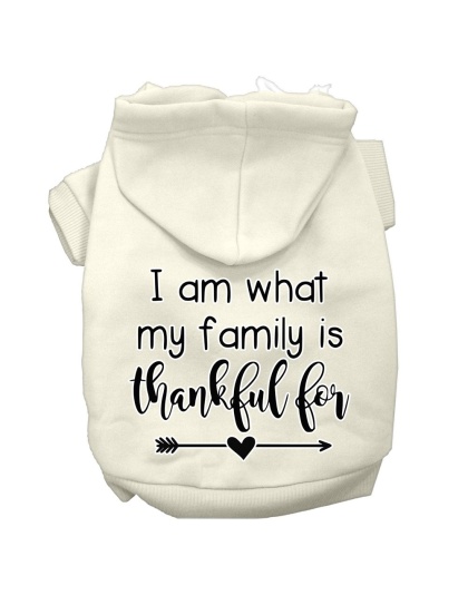 I Am What My Family is Thankful For Screen Print Dog Hoodie Cream L