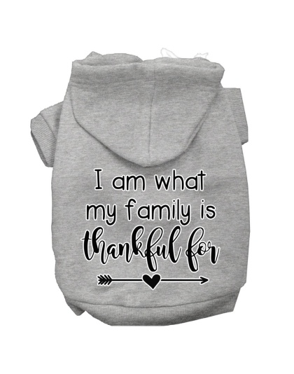 I Am What My Family is Thankful For Screen Print Dog Hoodie Grey L