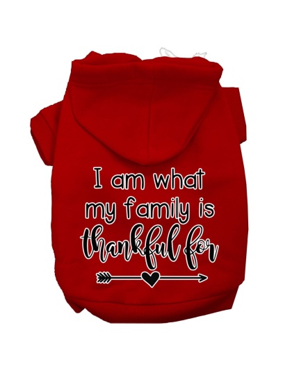 I Am What My Family is Thankful For Screen Print Dog Hoodie Red L