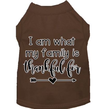 I Am What My Family is Thankful For Screen Print Dog Shirt Brown Lg