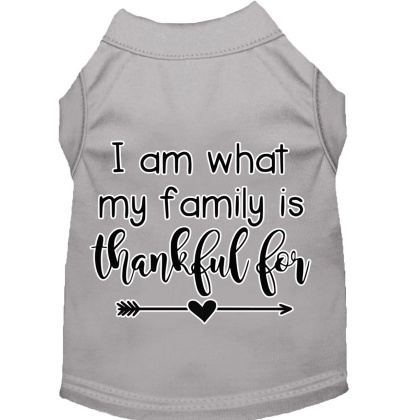 I Am What My Family is Thankful For Screen Print Dog Shirt Grey Lg