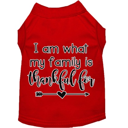 I Am What My Family is Thankful For Screen Print Dog Shirt Red Lg
