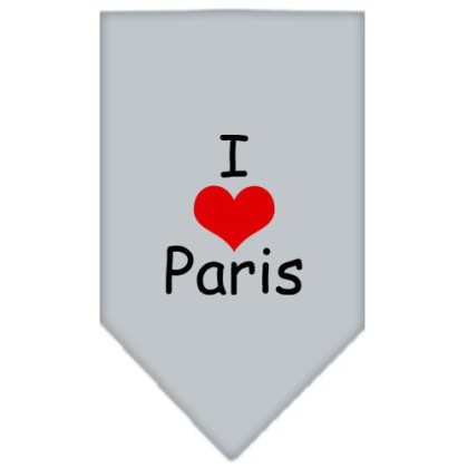 I Heart Paris Screen Print Bandana Grey Large