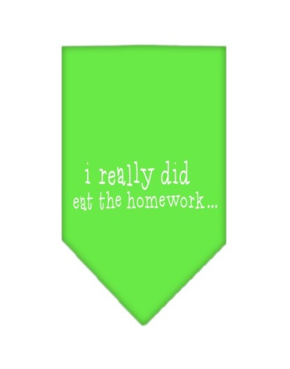 I really did eat the Homework Screen Print Bandana Lime Green Large