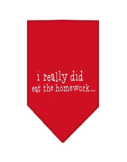 I really did eat the Homework Screen Print Bandana Red Large