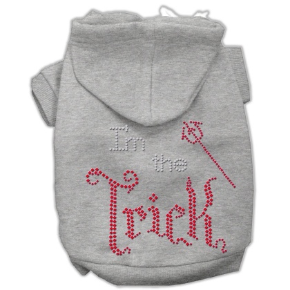 I'm the Trick Rhinestone Hoodies Grey L