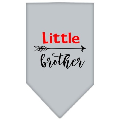 Little Brother Screen Print Bandana Grey Large