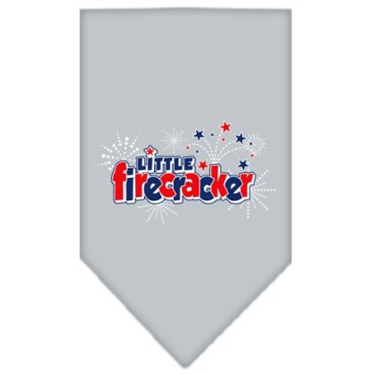 Little Firecracker Screen Print Bandana Grey Large