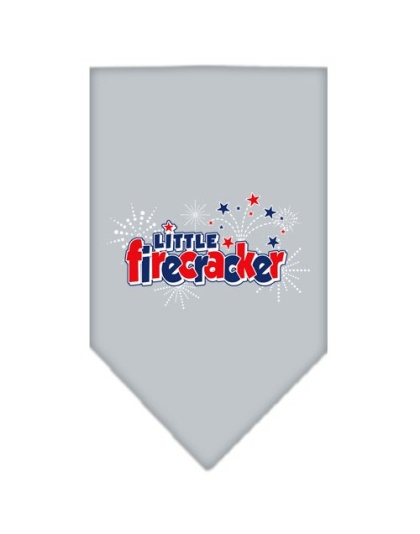 Little Firecracker Screen Print Bandana Grey Large