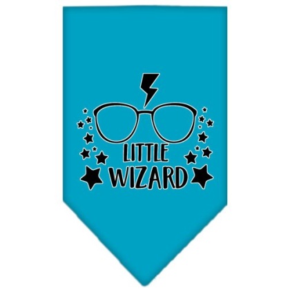 Little Wizard Screen Print Bandana Turquoise Large