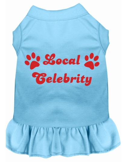 Local Celebrity Screen Print Dress Baby Blue 4X (22)