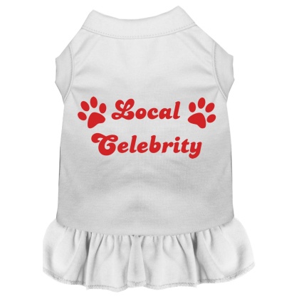 Local Celebrity Screen Print Dress White 4X (22)