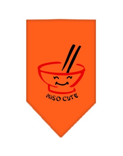 Miso Cute Screen Print Bandana Orange Large