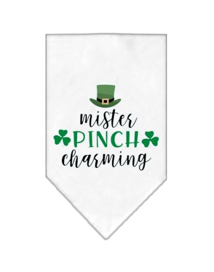 Mister Pinch Charming Screen Print Bandana White Large