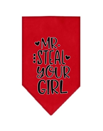 Mr Steal Your Girl Screen Print Bandana Red Large