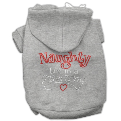 Naughty But Nice Hoodies Grey L