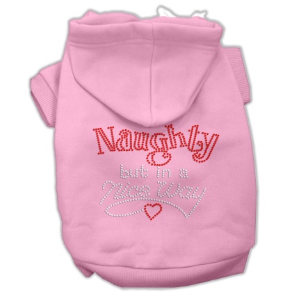 Naughty But Nice Hoodies Pink L