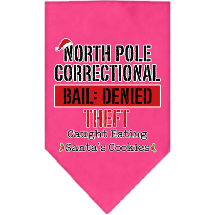 North Pole Correctional Screen Print Bandana Bright Pink Size Small