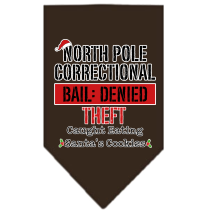 North Pole Correctional Screen Print Bandana Cocoa Size Small