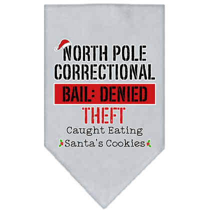 North Pole Correctional Screen Print Bandana Grey Size Small