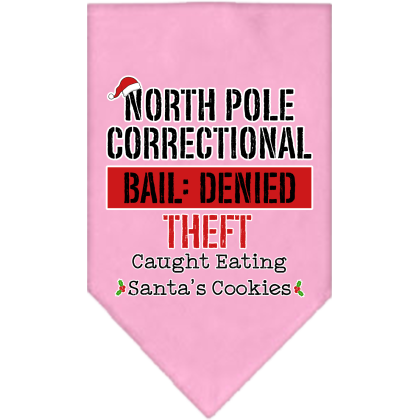 North Pole Correctional Screen Print Bandana Light Pink Size Small