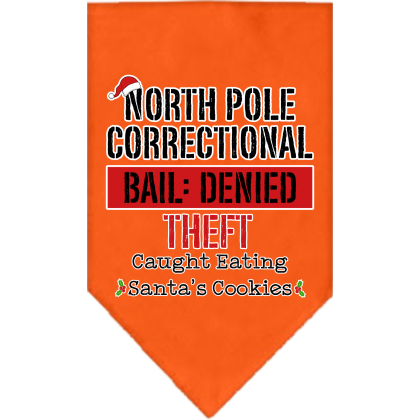 North Pole Correctional Screen Print Bandana Orange Size Small