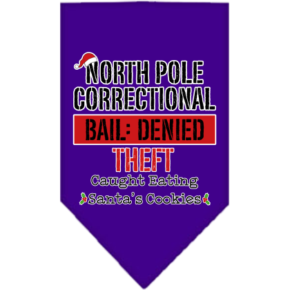 North Pole Correctional Screen Print Bandana Purple Size Small