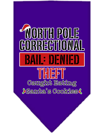 North Pole Correctional Screen Print Bandana Purple Size Small