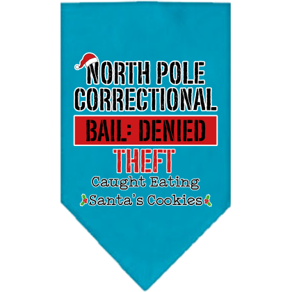 North Pole Correctional Screen Print Bandana Turquoise Size Small