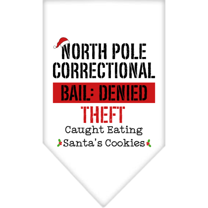 North Pole Correctional Screen Print Bandana White Size Small