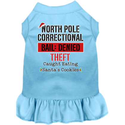North Pole Correctional Screen Print Dog Dress Baby Blue Size XS