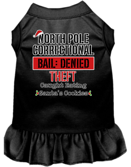 North Pole Correctional Screen Print Dog Dress Black Size XS