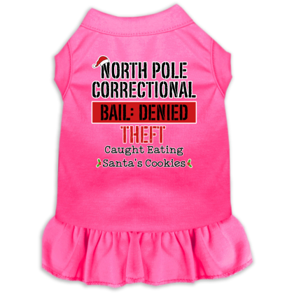 North Pole Correctional Screen Print Dog Dress Bright Pink Size XS
