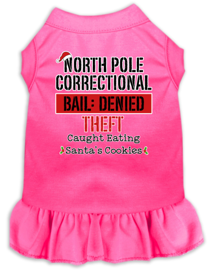 North Pole Correctional Screen Print Dog Dress Bright Pink Size XS