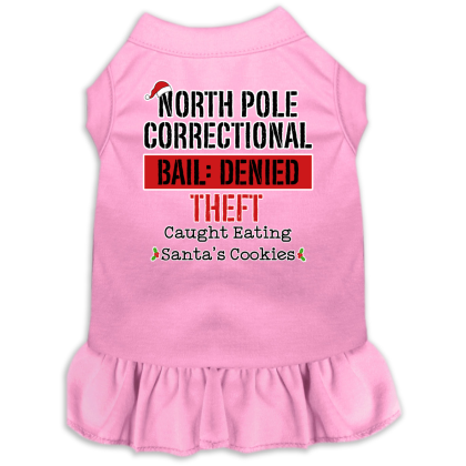 North Pole Correctional Screen Print Dog Dress Light Pink Size XS