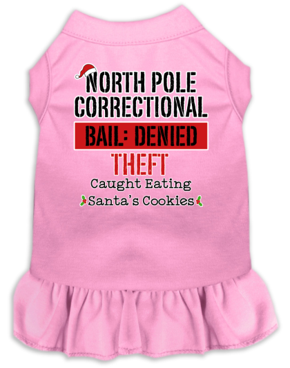 North Pole Correctional Screen Print Dog Dress Light Pink Size XS